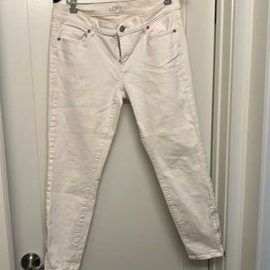 Ann Taylor Loft jeans